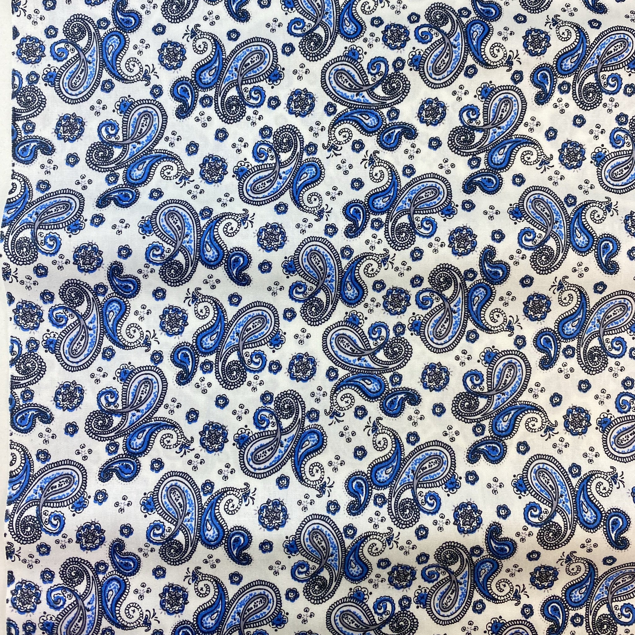 Cotton Poplin Printed Small Blues Paisley Design